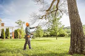 Lawn Watering Services in Bagdad, FL